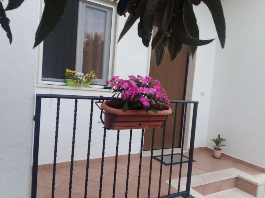 شقة Casa Di Cristina فيوميتشينو المظهر الخارجي الصورة