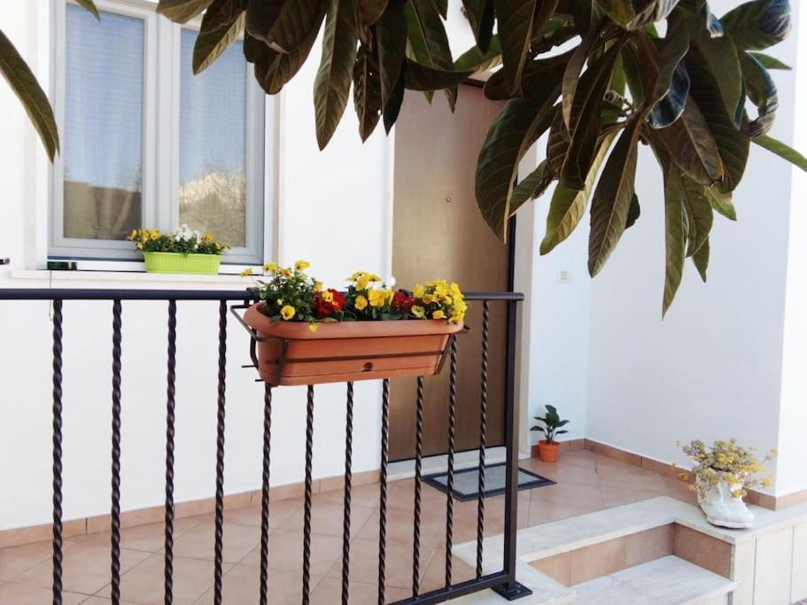 شقة Casa Di Cristina فيوميتشينو المظهر الخارجي الصورة