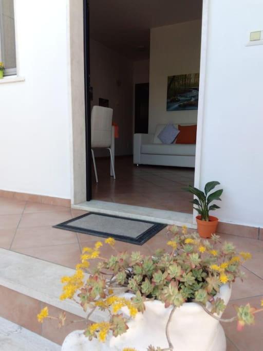 شقة Casa Di Cristina فيوميتشينو المظهر الخارجي الصورة