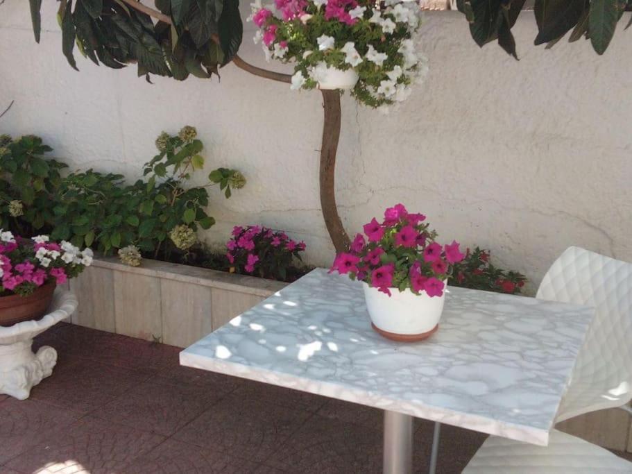 شقة Casa Di Cristina فيوميتشينو المظهر الخارجي الصورة